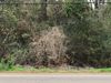 Hwy 22 photo